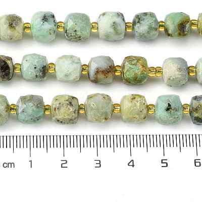 Natural Chrysoprase Beads Strands G-Q010-A19-01-1