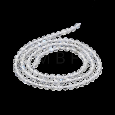 Natural Rainbow Moonstone Beads Strands G-J400-E12-01-1