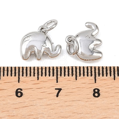 Brass Charms KK-G549-08P-1