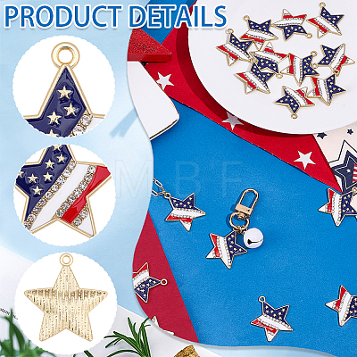 20Pcs Independence Day Alloy Enamel Pendants ENAM-SC0008-28-1