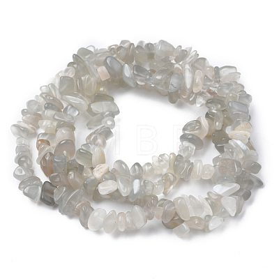 Natural White Moonstone Chip Beads Strands G-M205-68A-1