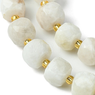 Natural Moonstone Beads Strands G-Q010-A05-01-1