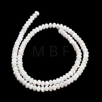 Natural Freshwater Shell Beads Strands SHEL-C010-04B-02-1