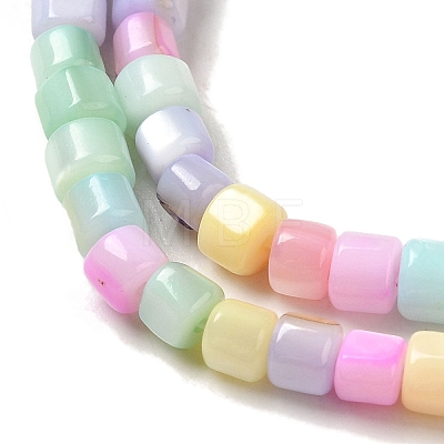 Rainbow Color Dyed Natural Freshwater Shell Beads Strands SHEL-G018-02D-1