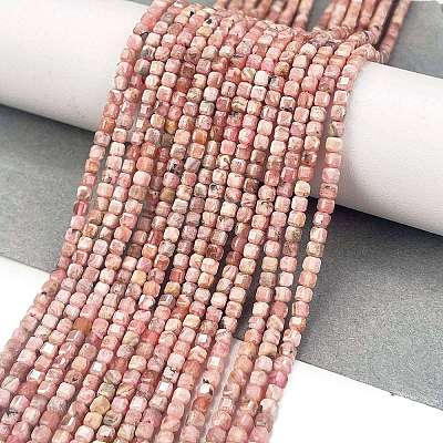Natural Argentina Rhodonite Beads Strands G-Z057-A01-01-1