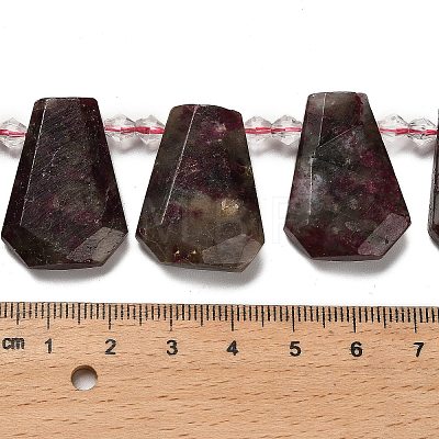 Natural Plum Blossom Tourmaline Beads Strands G-H078-A01-01-1