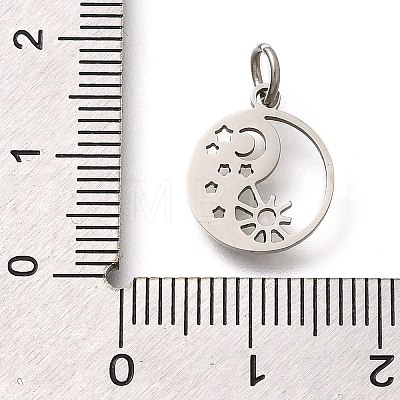 304 Stainless Steel Charms STAS-Z119-19P-1