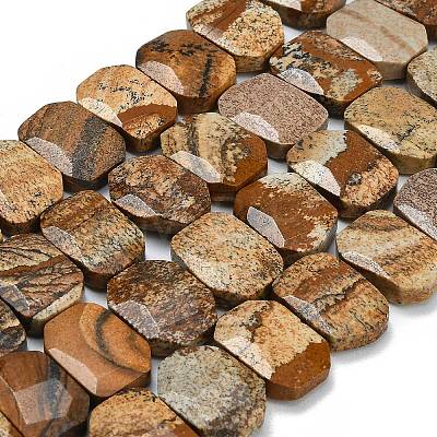 Natural Picture Jasper Beads Strands G-C285-A11-01-1