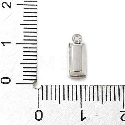 304 Stainless Steel Charm STAS-L022-242P-10-1