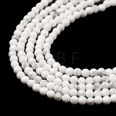 Natural Howlite Beads Strands G-E608-A01-A-1
