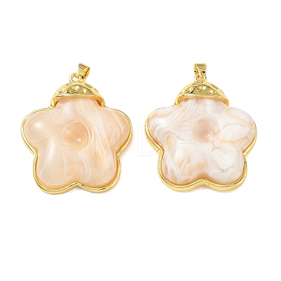 Brass & Resin Pendants KK-A303-04G-02-1
