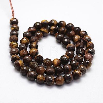 Faceted Natural Tiger Eye Beads Strands G-F364-04-6mm-1