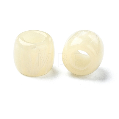 Resin European Beads RESI-U008-02G-1