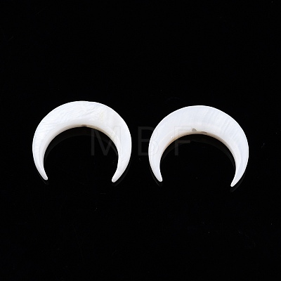Freshwater Shell Beads SHEL-T012-12A-1