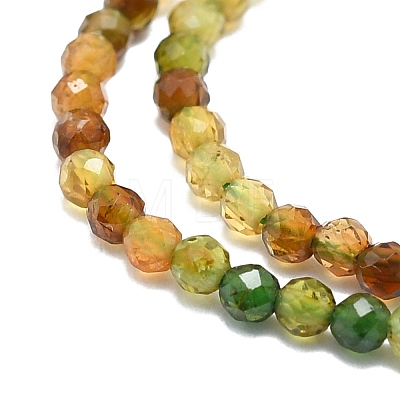 Natural Tourmaline Beads Strands G-P457-A01-14D-1