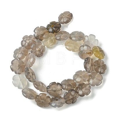 Natural Grey Agate Bead Strands G-H023-B20-01-1