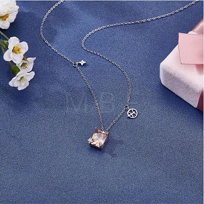 925 Sterling Silver Zircon Pendant Necklace 12 Constellation Pendant Necklace Jewelry Anniversary Birthday Gifts for Women Men JN1088J-1