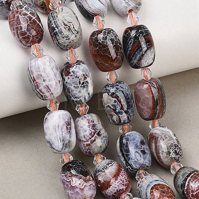 Natural Fire Crackle Agate Beads Strands G-K393-G04-12x16-1