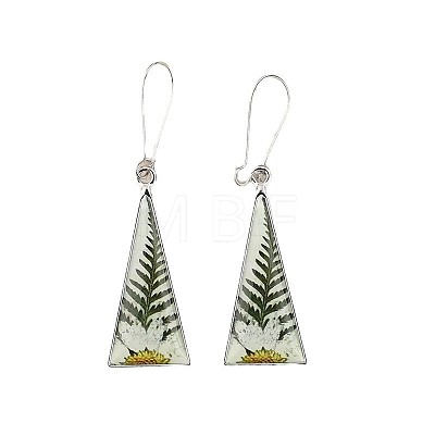 Print Alloy & Epoxy Leverback Earrings FS-WG26850-01-1