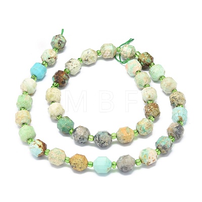 Natural Turquoise Beads Strands G-O201B-66A-1