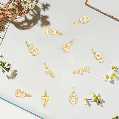 10Pcs 10 Styles Brass Charms KK-BBC0025-93-1