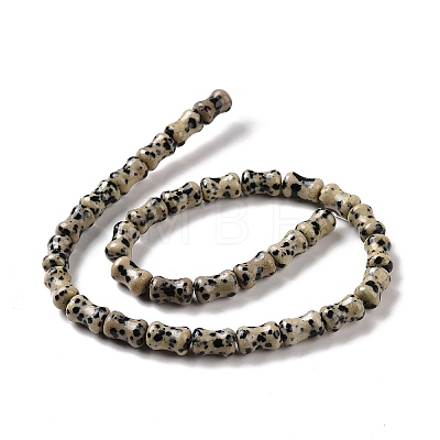 Natural Dalmatian Jasper  Beads Strands G-D481-04-1