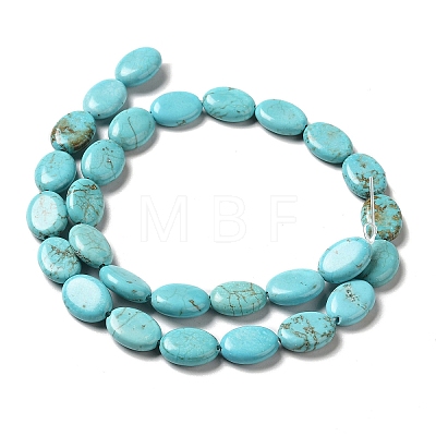 Natural Howlite Beads Strands G-C025-12A-1