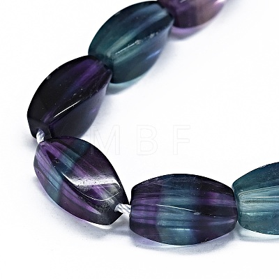 Natural Fluorite Beads Strands G-O170-170-1