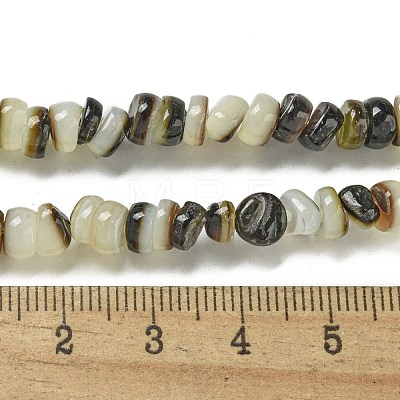 Natural Black Lip Shell Beads Strands BSHE-G039-02-1