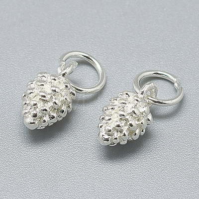 925 Sterling Silver Charms STER-T002-297S-1