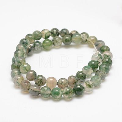 Natural Moss Agate Beads Strands G-F453-6mm-1