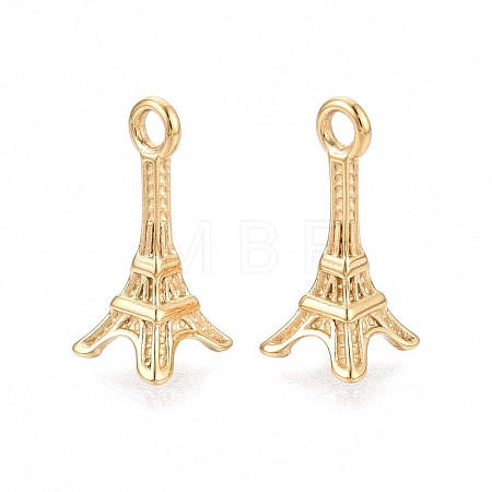 304 Stainless Steel Pendants STAS-N109-258G-1