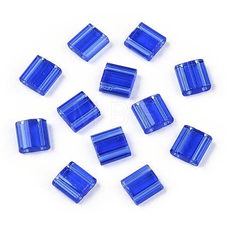 2-Hole Glass Seed Beads SEED-T003-01C-08-1