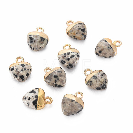 Natural Dalmatian Jasper Charms LS-G-N326-121-01-1