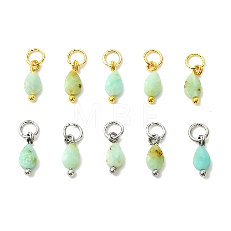 10Pcs 2 Colors Natural Chalcedony Pendants PALLOY-JF05860-02-1
