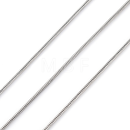 304 Stainless Steel Round Snake Chains CHS-M009-01P-01-1