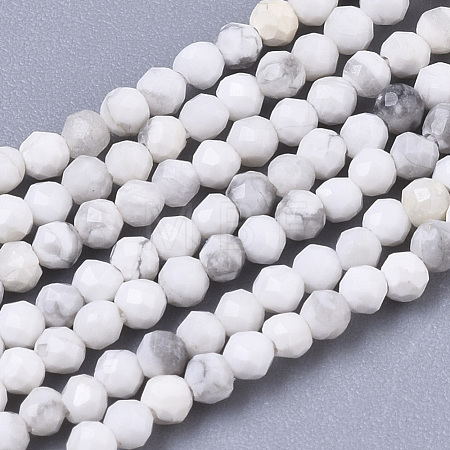 Natural Howlite Beads Strands G-R462-007-1
