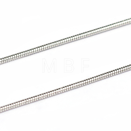 Tarnish Resistant 3.28 Feet 304 Stainless Steel Snake Chains X-CHS-L001-163-0.9mm-1