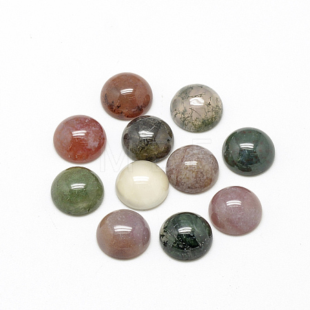 Natural Indian Agate Cabochons G-R416-12mm-14-1