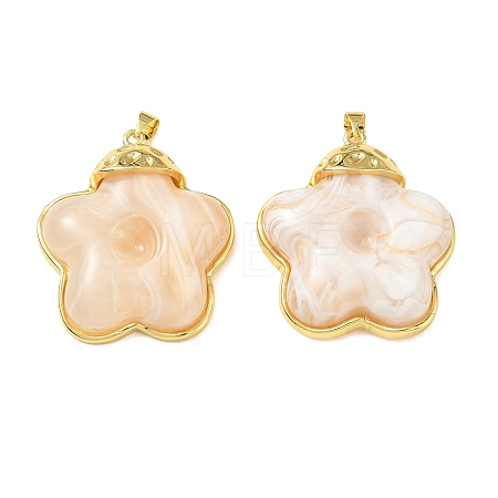 Brass & Resin Pendants KK-A303-04G-02-1