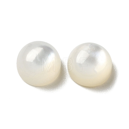 Natural White Shell Cabochons SSHEL-M022-01A-1