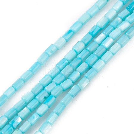 Natural Freshwater Shell Dyed Beads Strands SHEL-M018-12-05-1
