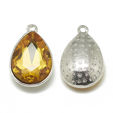 Alloy Glass Charms PALLOY-T028-7x10mm-22-1