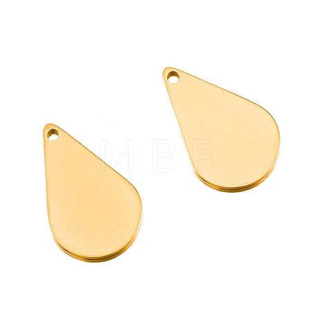 Stainless Steel Charms PW-WG31F01-01-1