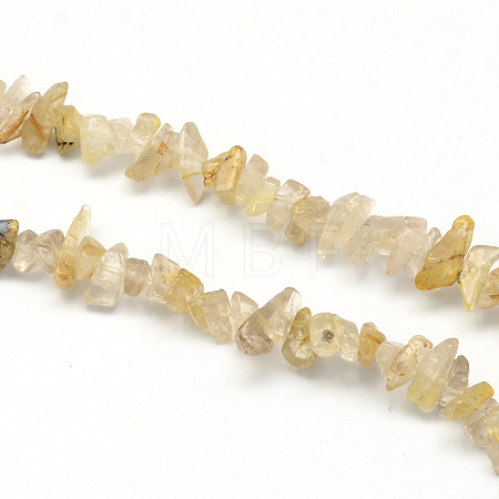 Natural Gold Rutilated Quartz Stone Bead Strands X-G-R192-A20-1