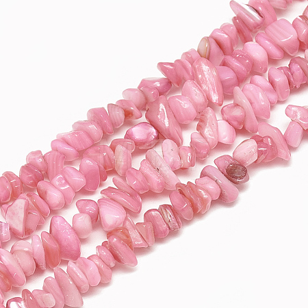 Freshwater Shell Beads Strands X-SHEL-S270-05-1