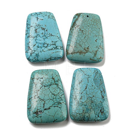 Natural Howlite Dyed Beads G-B070-35-1