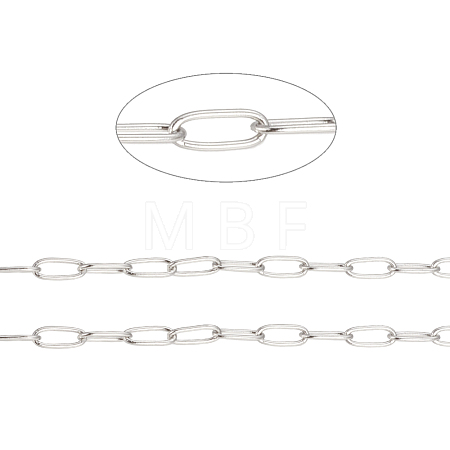 Tarnish Resistant 304 Stainless Steel Paperclip Chains CHS-F010-01B-P-1