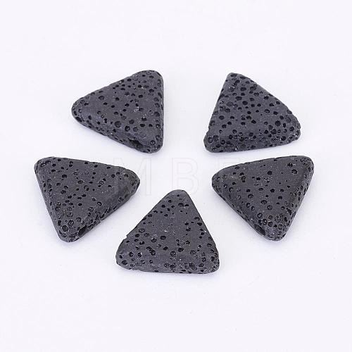 Natural Lava Rock Beads G-P316-H01-1