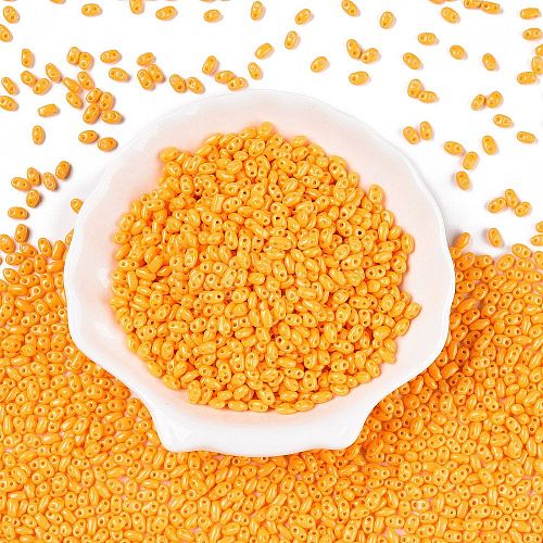 Baking Paint Glass Seed Beads SEED-T006-03N-1